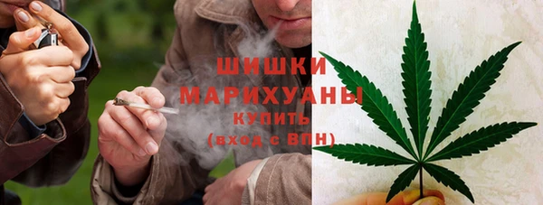прущая мука Вяземский