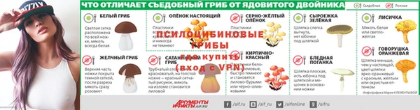 амф Вязьма