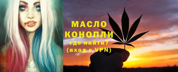 прущая мука Вяземский