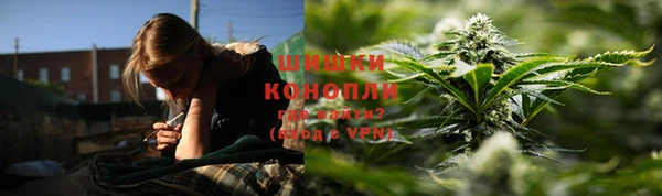 амф Вязьма