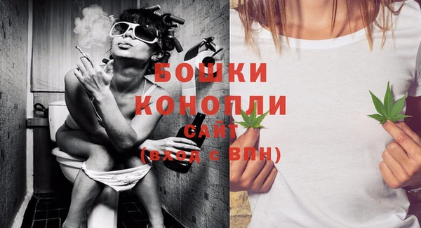 прущая мука Вяземский