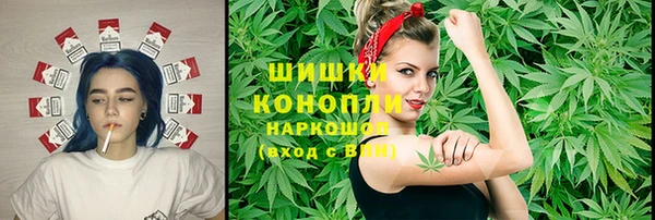 прущая мука Вяземский