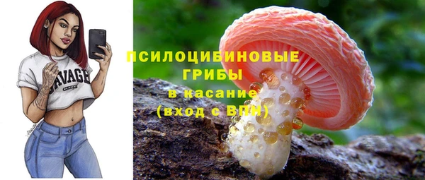 прущая мука Вяземский