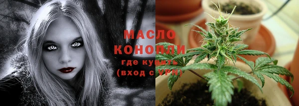 прущая мука Вяземский