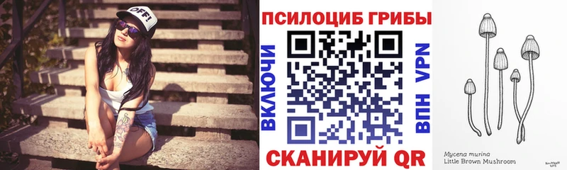 Псилоцибиновые грибы Psilocybe  OMG   Набережные Челны 