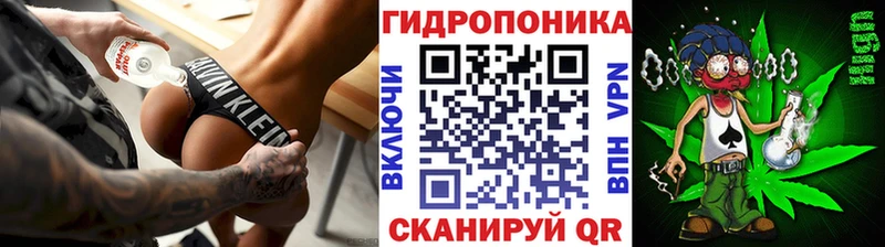 MEGA маркетплейс  Набережные Челны  Шишки марихуана AK-47 